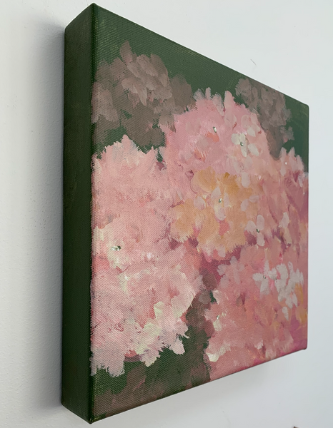 Hydrangea #10