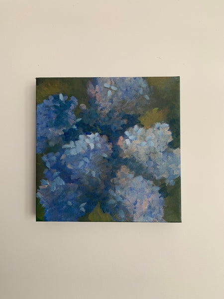 Hydrangea #1