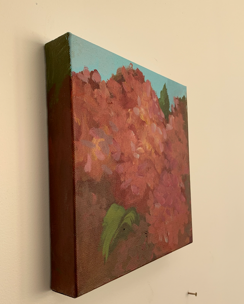Hydrangea #5