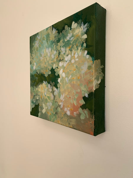 Hydrangea #7