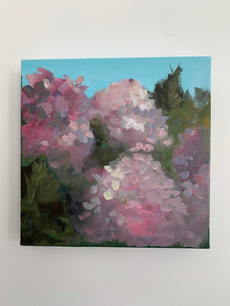 Hydrangea #2