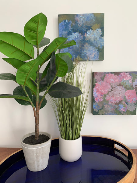 Hydrangea #6